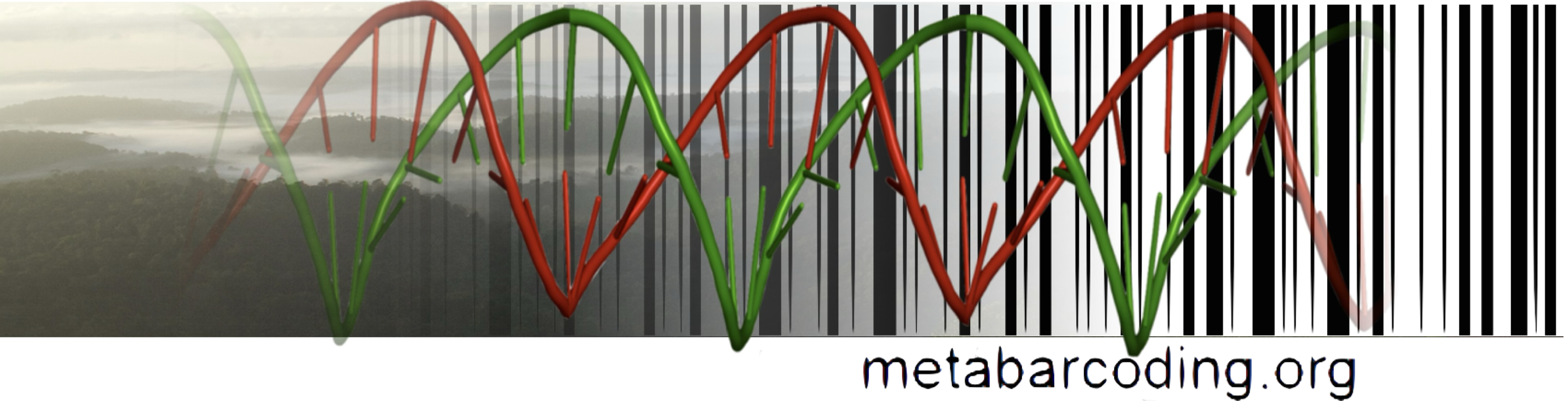 metabarcoding.png